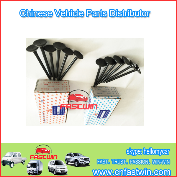 INLET  PIPE- OUTLET PIPE QQ732