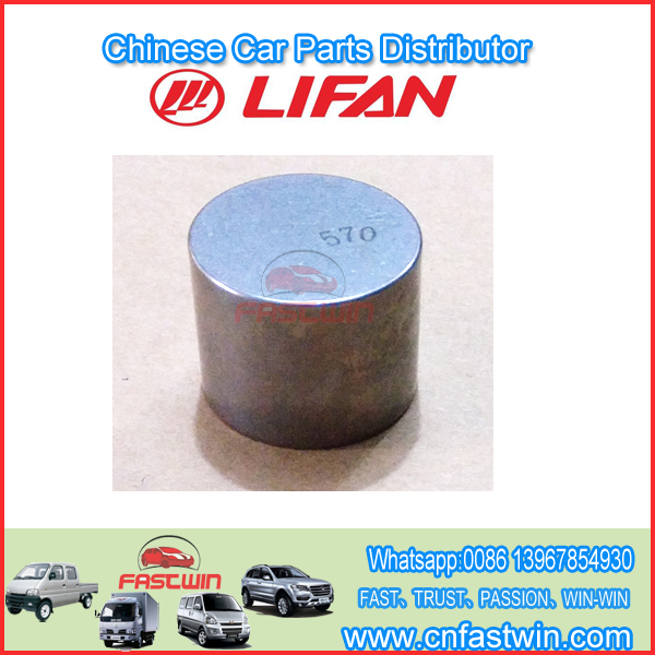 LIFAN LF479Q3-1007020A Tetera de válvula - Integral