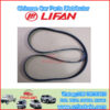 LIFAN LFB479Q-1025015A la correa del motor y bomba agua